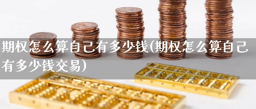 期权怎么算自己有多少钱(期权怎么算自己有多少钱交易)_https://www.nyyysy.com_期货喊单_第1张