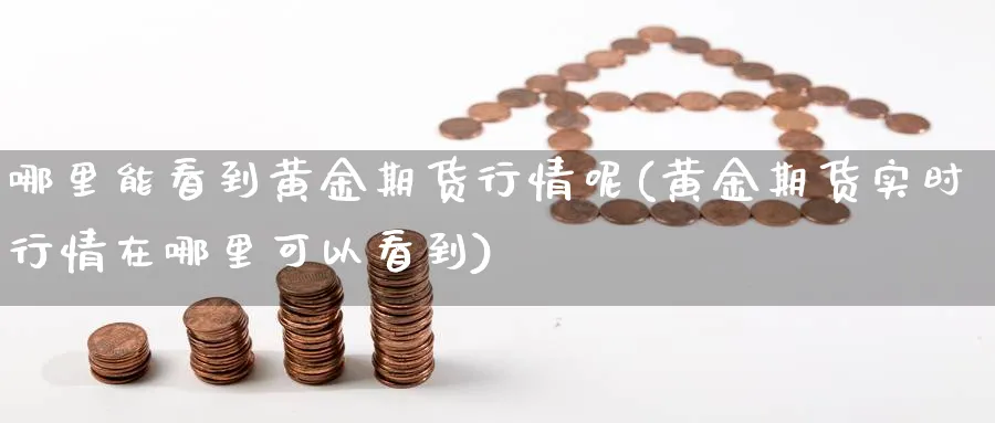 哪里能看到黄金期货行情呢(黄金期货实时行情在哪里可以看到)_https://www.nyyysy.com_期货市场_第1张