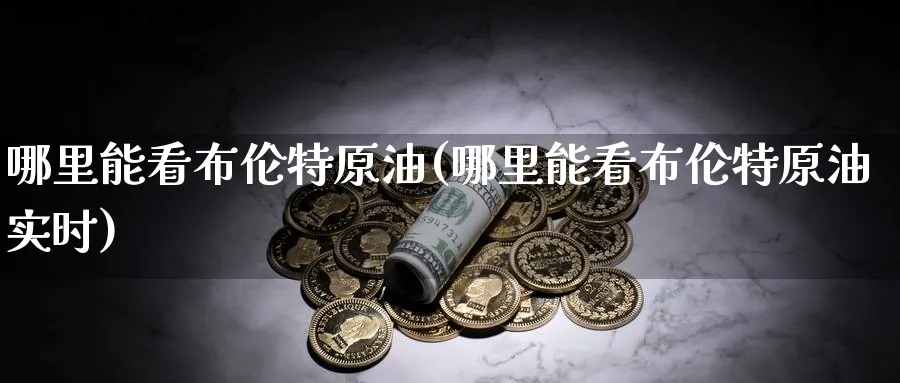 哪里能看布伦特原油(哪里能看布伦特原油实时)_期货分析_第1张_南严期货 哪里能看布伦特原油(哪里能看布伦特原油实时)_https://www.nyyysy.com_期货分析_第1张