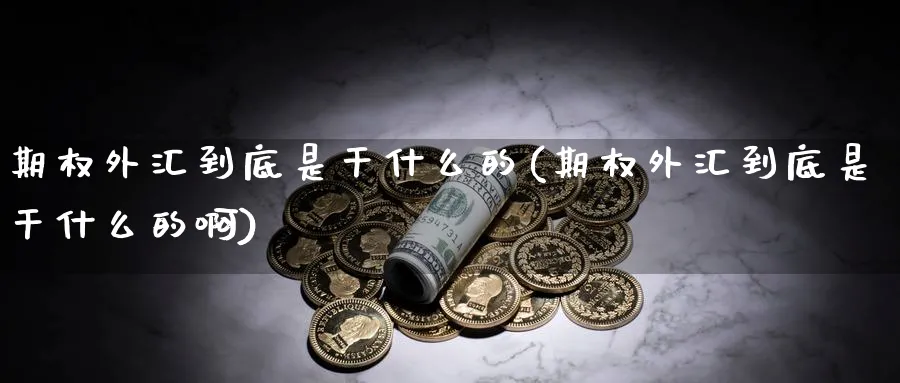 期权外汇到底是干什么的(期权外汇到底是干什么的啊)_期货分析_第1张_南严期货 期权外汇到底是干什么的(期权外汇到底是干什么的啊)_https://www.nyyysy.com_期货分析_第1张