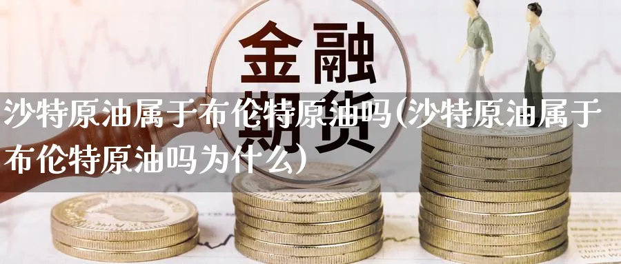 沙特原油属于布伦特原油吗(沙特原油属于布伦特原油吗为什么)_https://www.nyyysy.com_期货喊单_第1张