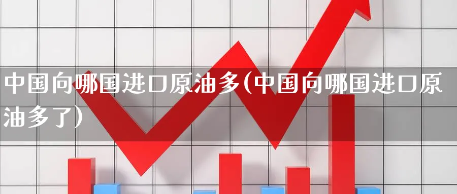 中国向哪国进口原油多(中国向哪国进口原油多了)_https://www.nyyysy.com_期货平台_第1张