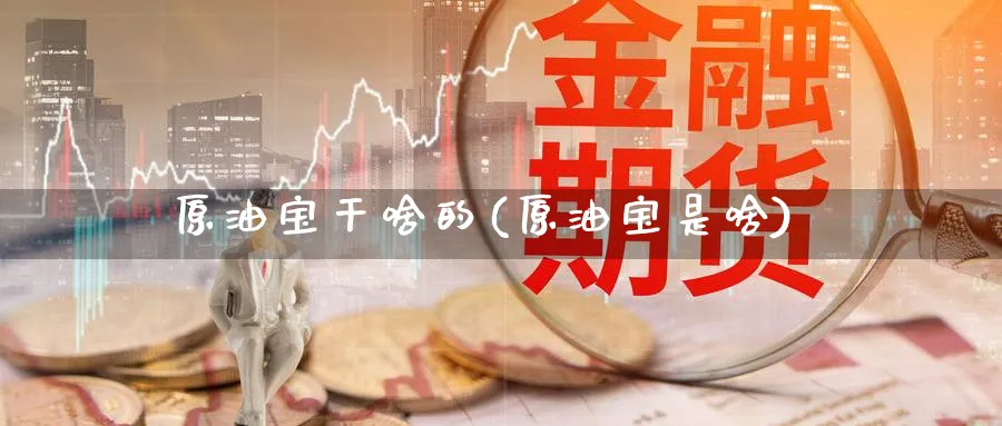 原油宝干啥的(原油宝是啥)_https://www.nyyysy.com_期货市场_第1张