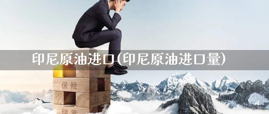 印尼原油进口(印尼原油进口量)_https://www.nyyysy.com_期货直播_第1张