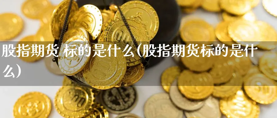 股指期货 标的是什么(股指期货标的是什么)_https://www.nyyysy.com_期货直播_第1张