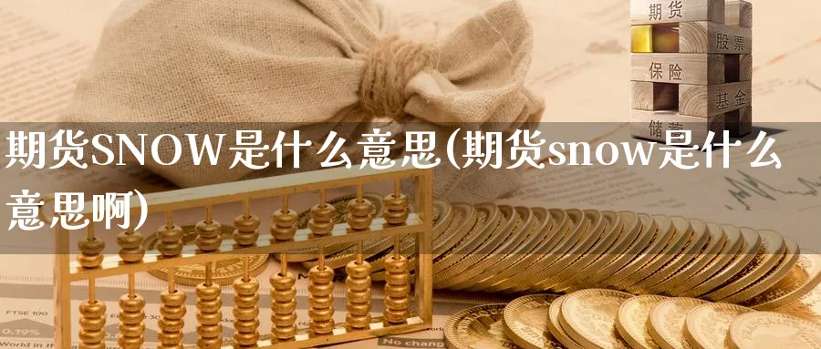 期货SNOW是什么意思(期货snow是什么意思啊)_https://www.nyyysy.com_期货市场_第1张