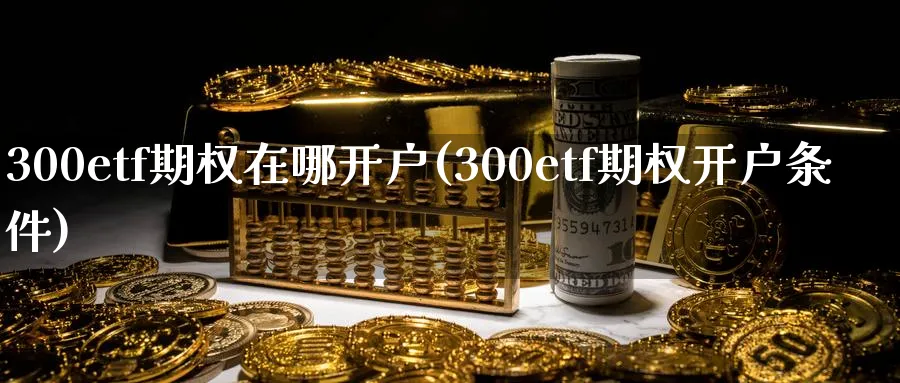 300etf期权在哪开户(300etf期权开户条件)_https://www.nyyysy.com_期货平台_第1张