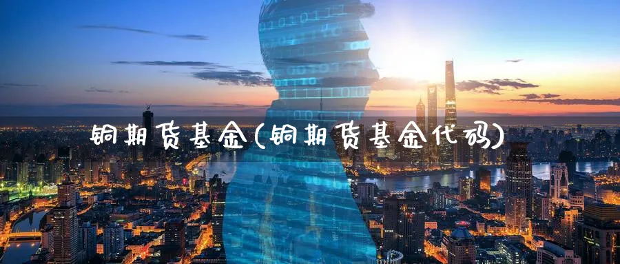 铜期货基金(铜期货基金代码)_https://www.nyyysy.com_期货分析_第1张