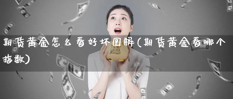 期货黄金怎么看好坏图解(期货黄金看哪个指数)_https://www.nyyysy.com_期货喊单_第1张