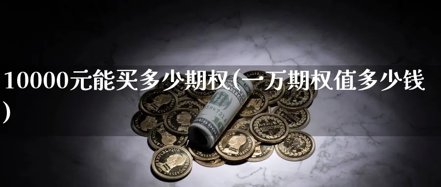 10000元能买多少期权(一万期权值多少钱)_https://www.nyyysy.com_期货分析_第1张