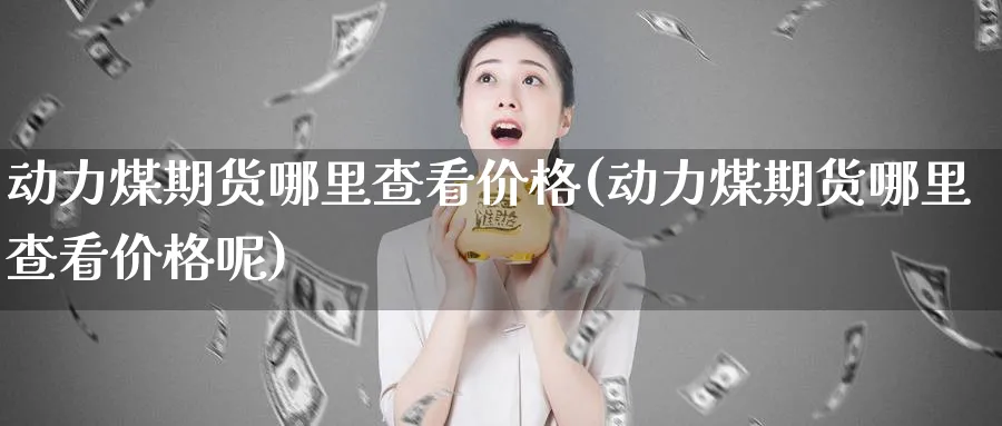 动力煤期货哪里查看价格(动力煤期货哪里查看价格呢)_https://www.nyyysy.com_期货行情_第1张